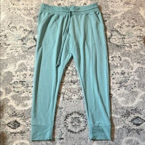FP Movement Joggers in Bayside Blue Size XL